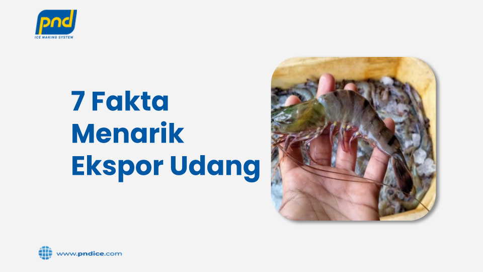 7 fakta menarik ekspor udang