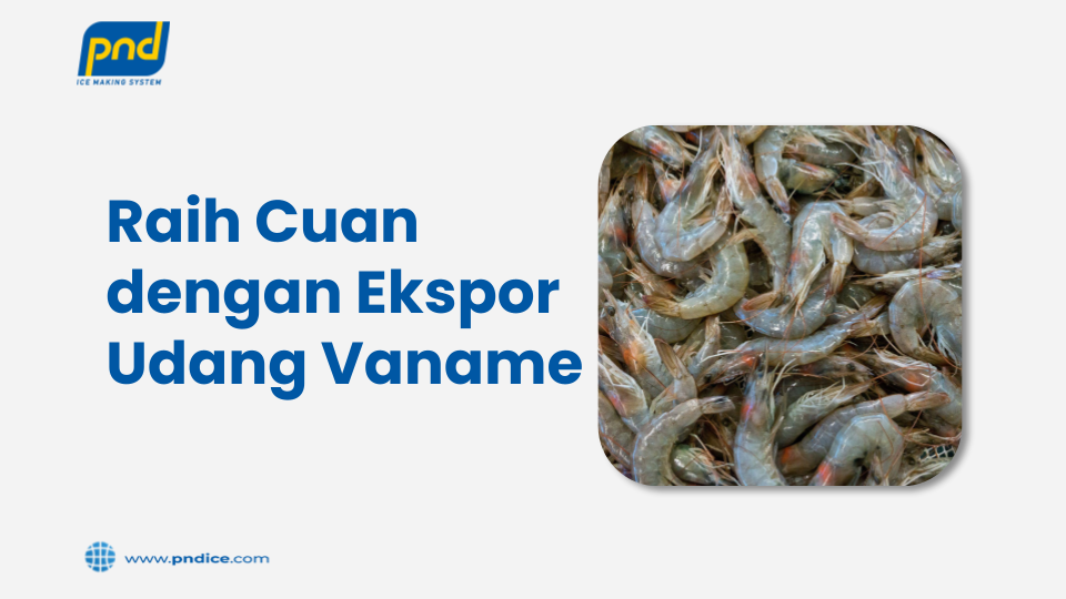 ekspor udang vaname
