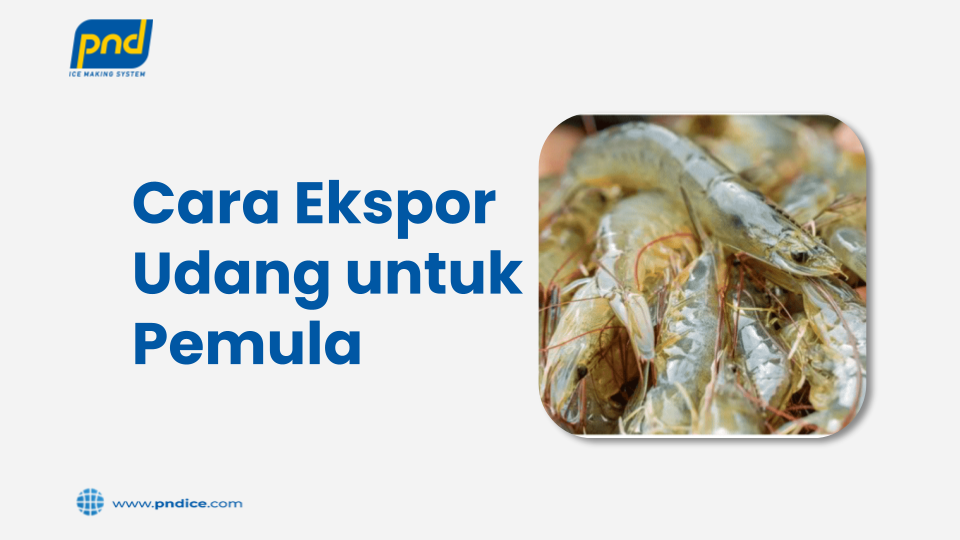 Cara Ekspor Udang