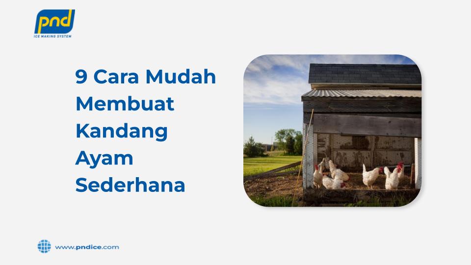 kandang ayam sederhana