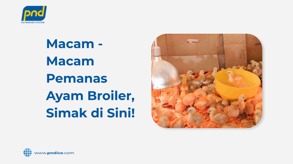 macam macam pemanas ayam broiler
