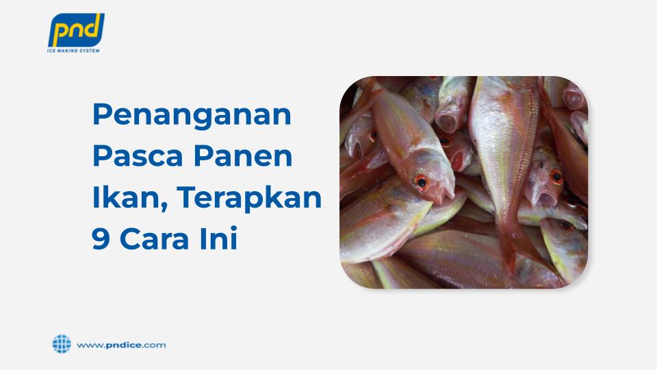 penanganan pasca panen ikan