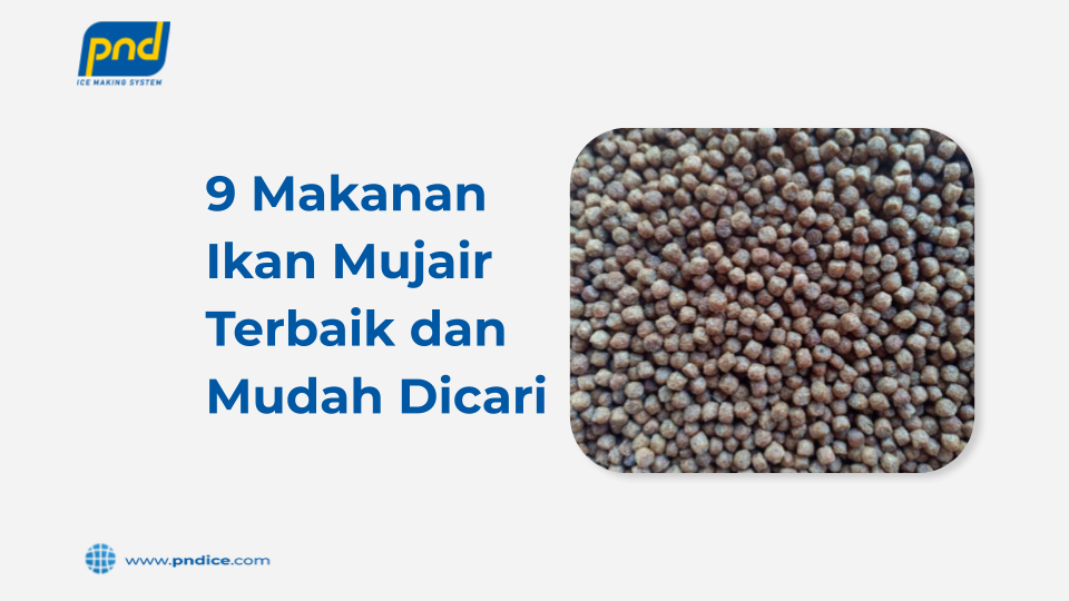makanan ikan mujair