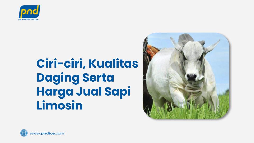 Ciri-ciri, Kualitas Daging Serta Harga Jual