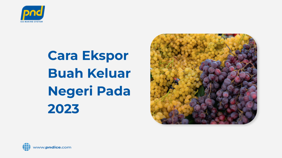 cara ekspor buah keluar negeri