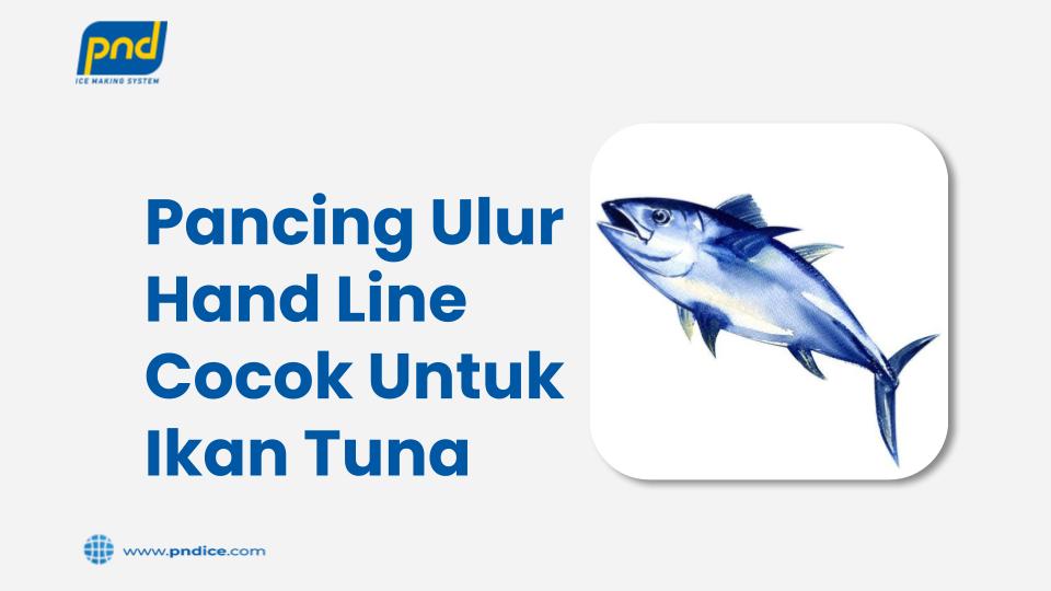 pancing ulur hand line