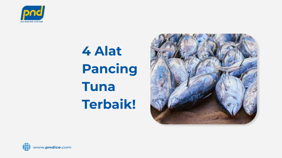 alat pancing tuna
