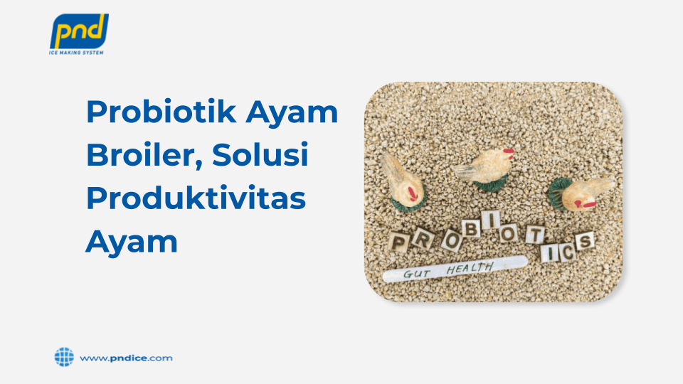 probiotik ayam broiler