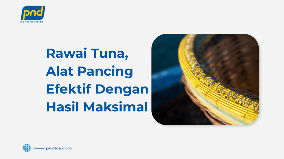 rawai tuna