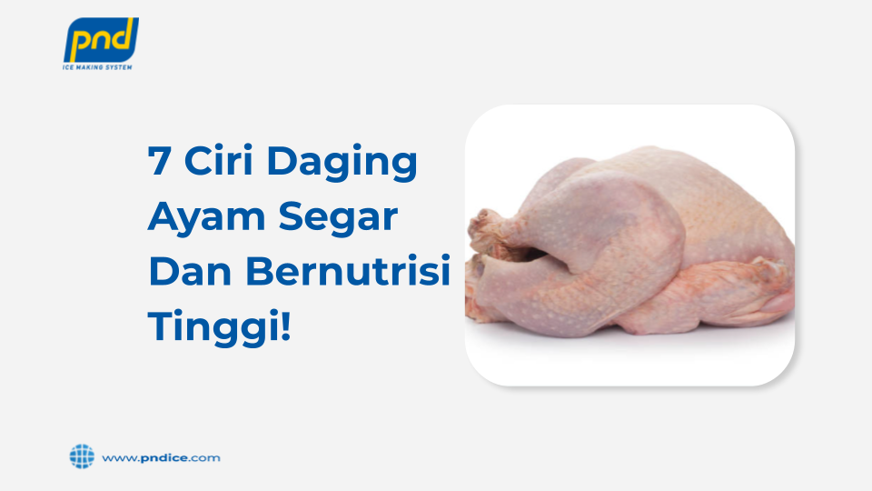 ciri daging ayam segar