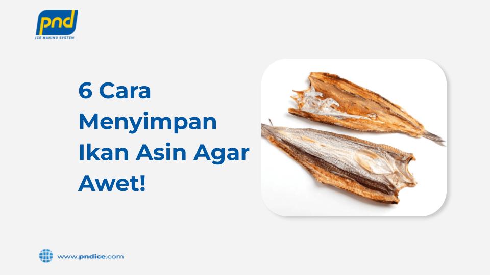 cara menyimpan ikan asin