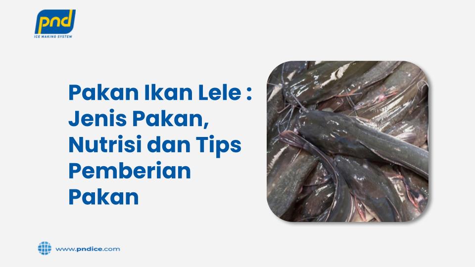 pakan ikan lele