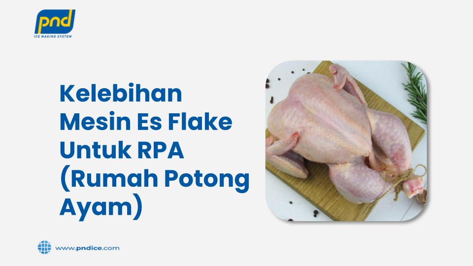 mesin es flake untuk RPA