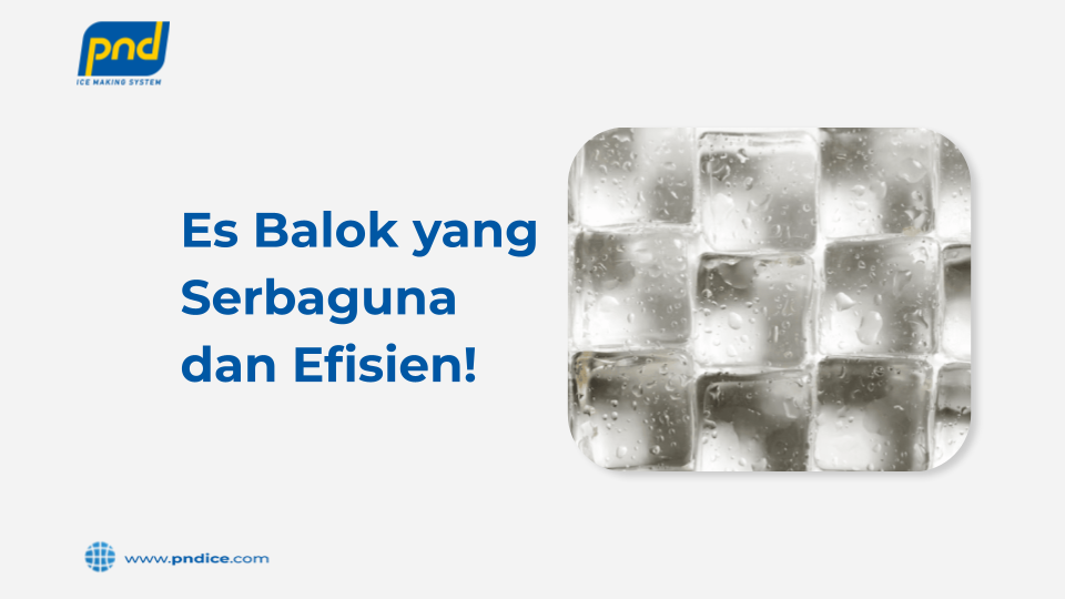 es balok