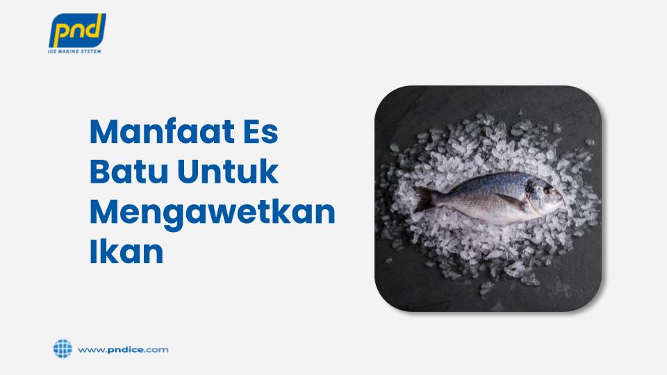 manfaat es batu