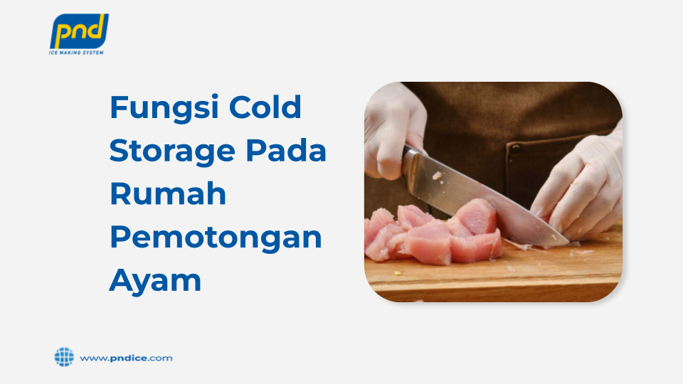 fungsi cold storage