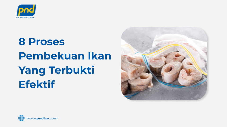 proses pembekuan ikan