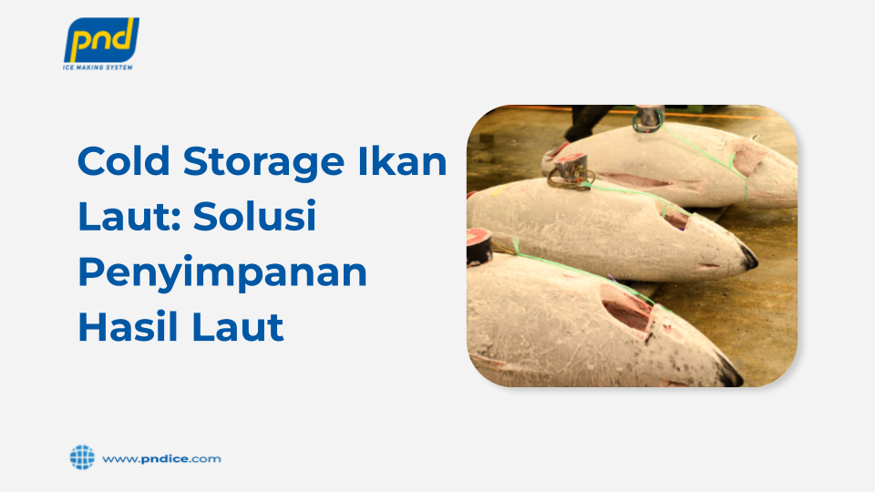 cold storage ikan laut