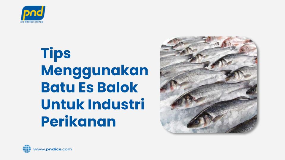 batu es balok perikanan