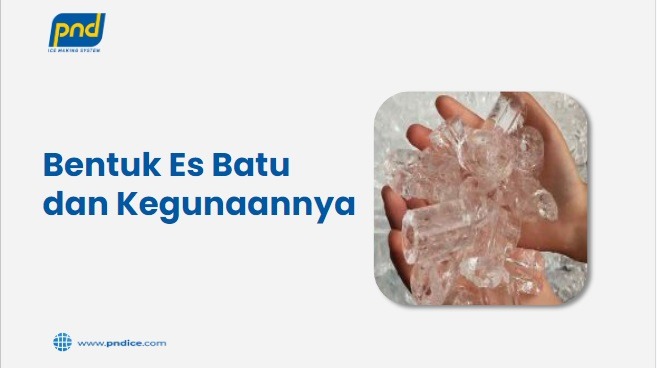 Bentuk Es Batu