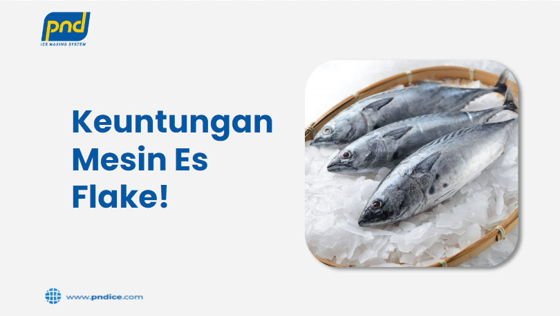 Mesin Es Flake