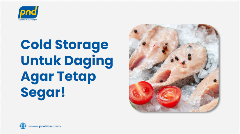 Cold Storage untuk daging