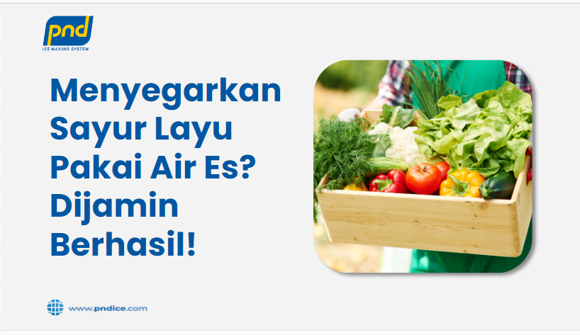 Menyegarkan sayur layu pakai air es? Dijamin Berhasil