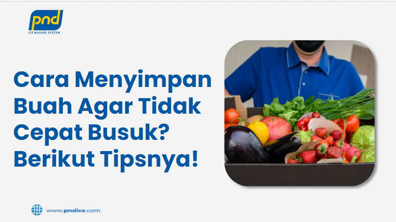 cara menyimpan buah agar tidak cepat busuk