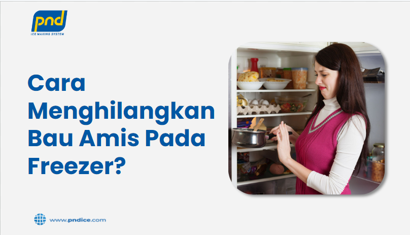 cara menghilangkan bau amis pada freezer