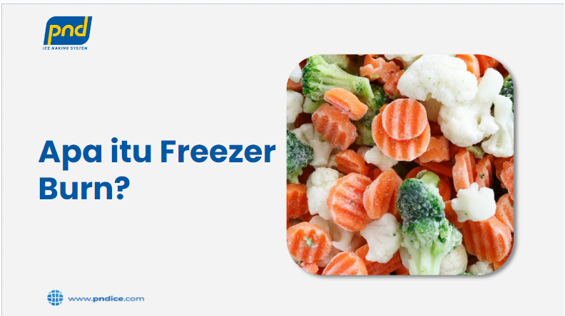 apa itu freezer burn