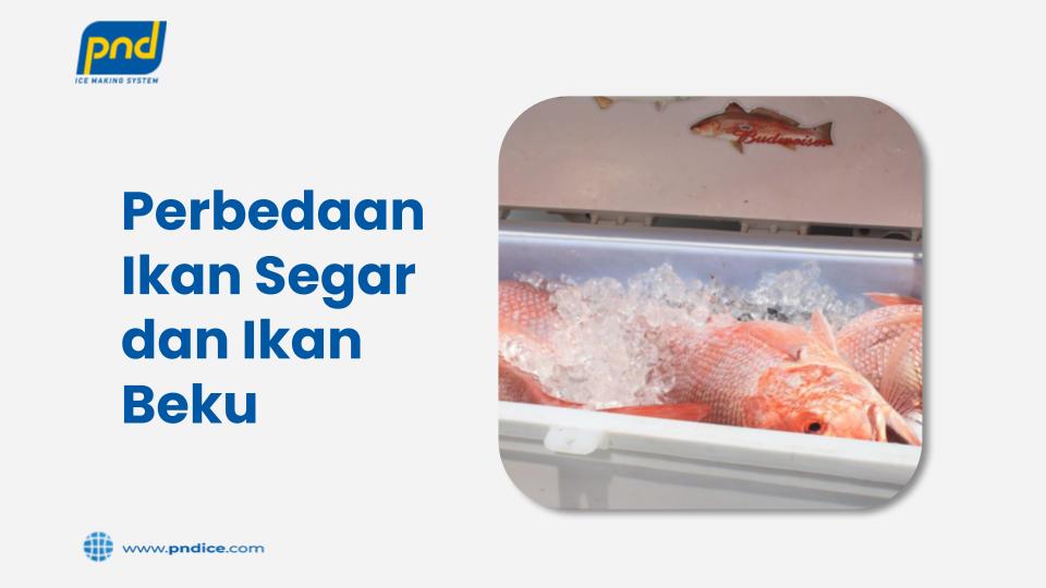 Perbedaan Ikan Segar dan Ikan Beku