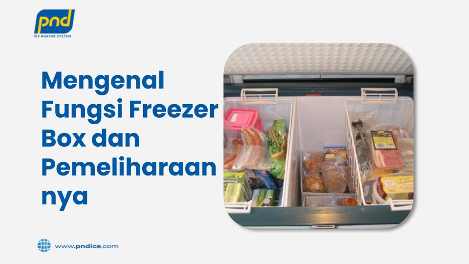 Mengenal Fungsi Freezer Box