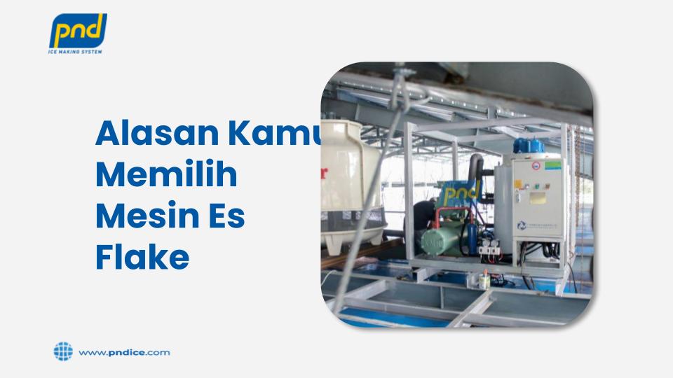Alasan kamu memilih mesin es flake